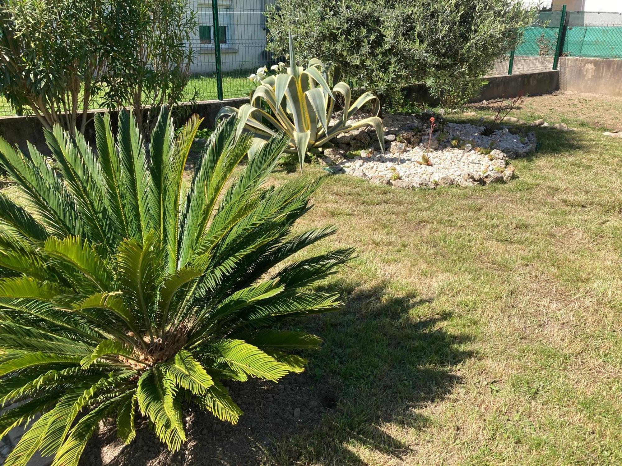 Chez Val Et Phil Hotel La Voulte-sur-Rhone Luaran gambar